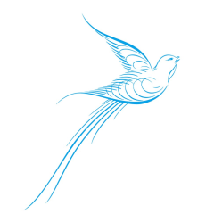 成都极乐鸟科技有限公司